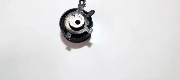 Ford Focus Belt tensioner pulley 