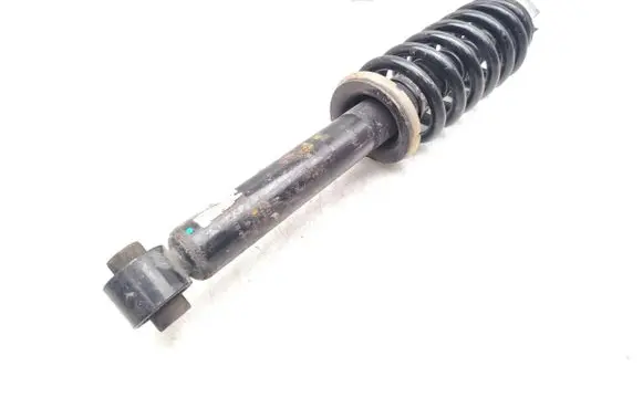Opel Grandland X Rear shock absorber with coil spring 9842404480