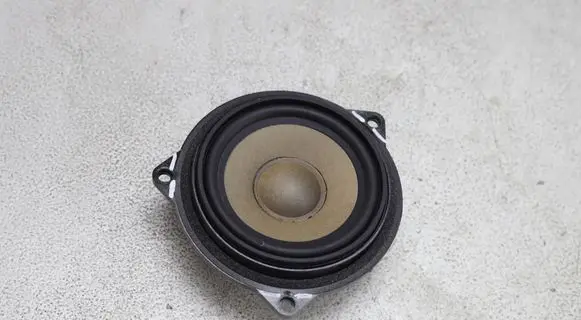 BMW X1 E84 Front door speaker 6945411 27018003