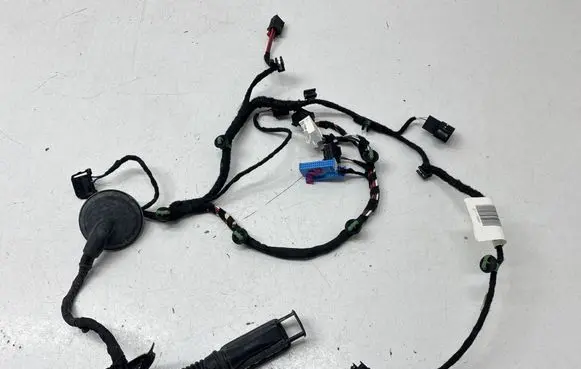 Volkswagen ID.5 Rear door wiring loom TAB016298SR 11A970403