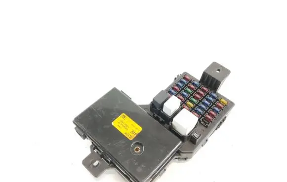 Hyundai Centennial Fuse module 954003B010