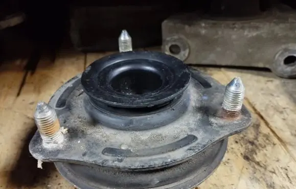 Coil spring mount