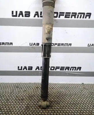 Volkswagen Tiguan Rear shock absorber/damper 5QF513049