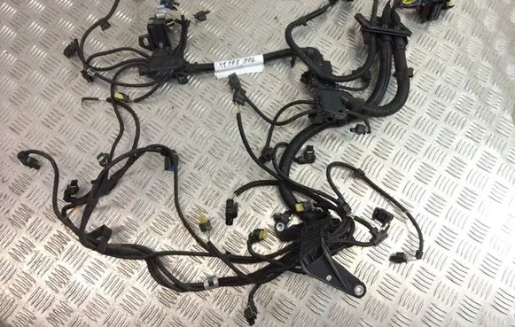 BMW X1 F48 F49 Engine installation wiring loom