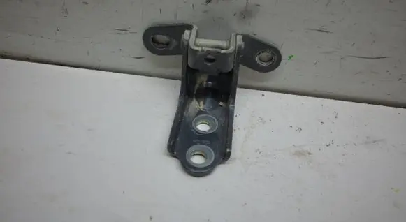 Rear door lower hinge