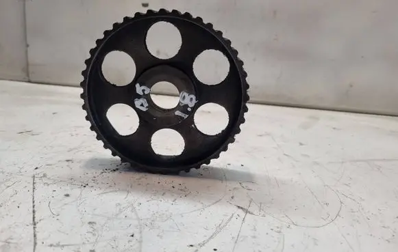 Volkswagen PASSAT B5 Camshaft pulley/ VANOS 069109111