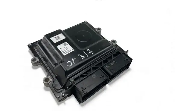 Engine control unit/module ECU