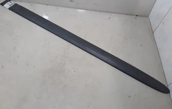 Rear door trim (molding)