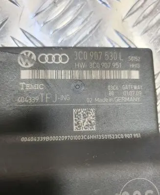 Volkswagen PASSAT B6 Gateway control module 3C0907530L 3C0907951