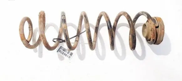 Rear coil spring