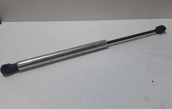 Tailgate/trunk strut/damper