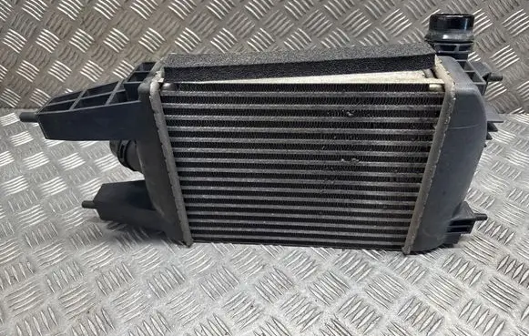 Nissan Juke I F15 Intercooler radiator 144613ZU0B