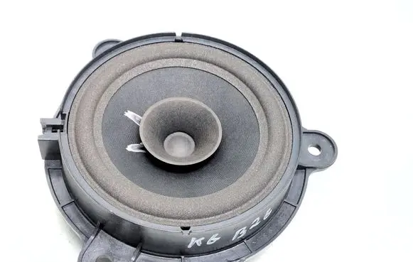 Renault Zoe Rear door speaker 