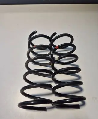 Rear coil spring