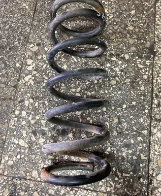 Nissan Pathfinder R51 Rear coil spring