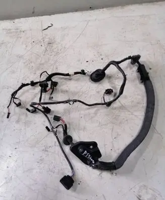 Volkswagen Sharan Sliding door wiring loom 7N0971692BH