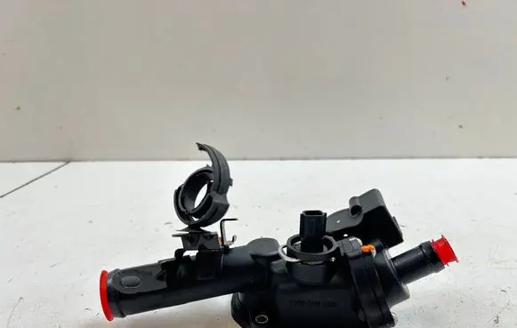 Thermostat/thermostat housing