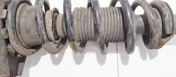 Nissan Primera Rear coil spring