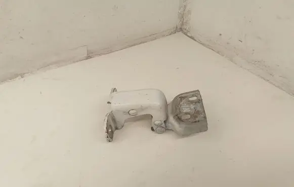 Renault Trafic II (X83) Front door lower hinge 311772M 66380