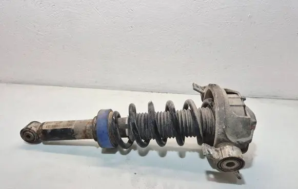 Volkswagen Touareg I Rear shock absorber with coil spring 7L6513029G