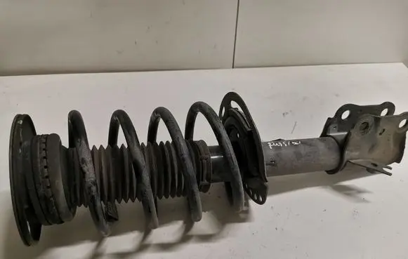 Ford Fusion II Front shock absorber with coil spring DG9C18K001