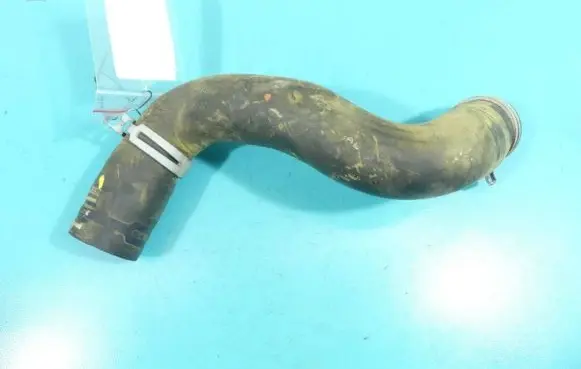 Dacia Sandero III Engine coolant pipe/hose 215038971R-A IMPRK1267263