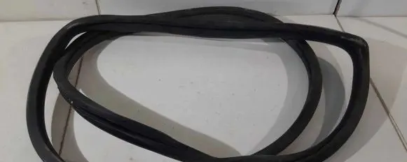 Renault Zoe Rubber seal rear door 