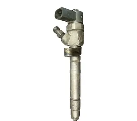 Mercedes-Benz S W220 Fuel injector A6130700187