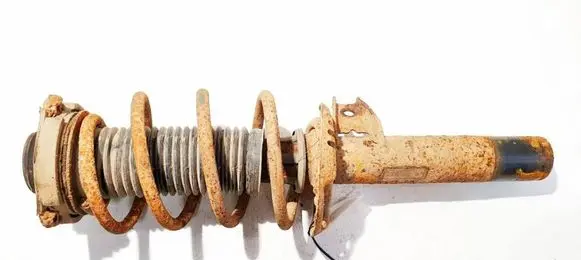 Volkswagen Golf V Front shock absorber/damper 1t0413031fn
