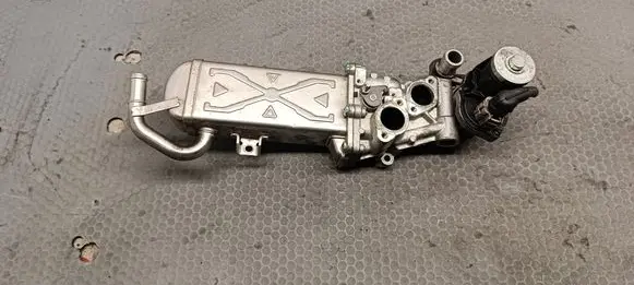 Volkswagen Golf VI EGR valve 