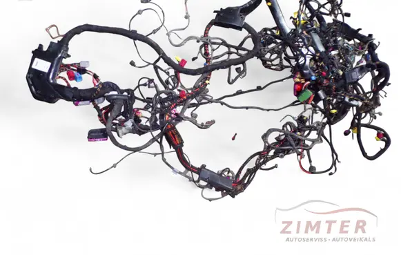 Other wiring loom