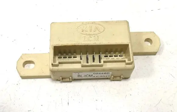 KIA Sorento Other control units/modules 02446D AK6341