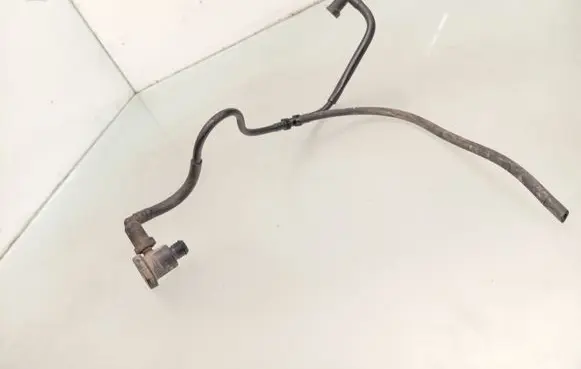 Citroen Berlingo Vacuum line/pipe/hose 0204221955