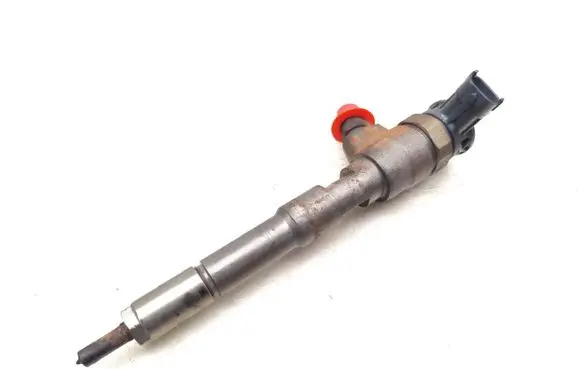 Renault Clio III Fuel injector H8201453073 0445110652