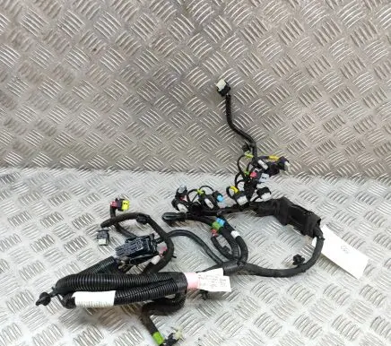 Tesla Model Y Other wiring loom 206876700C
