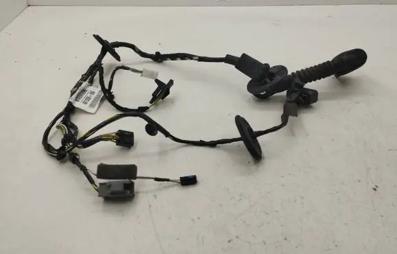 Front door wiring loom