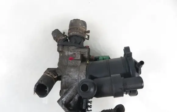 Peugeot Partner Fuel filter housing 9624839210