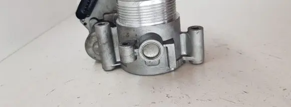 Seat Alhambra (Mk2) Throttle valve 07743268343B