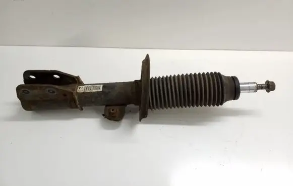 Opel Antara Front shock absorber/damper 20767222