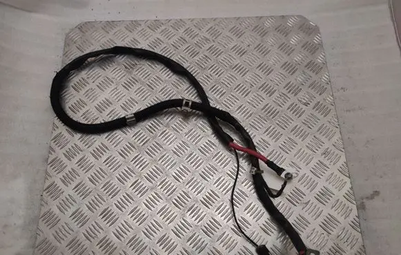 Mercedes-Benz S C217 Wires (generator/alternator) A2781560224