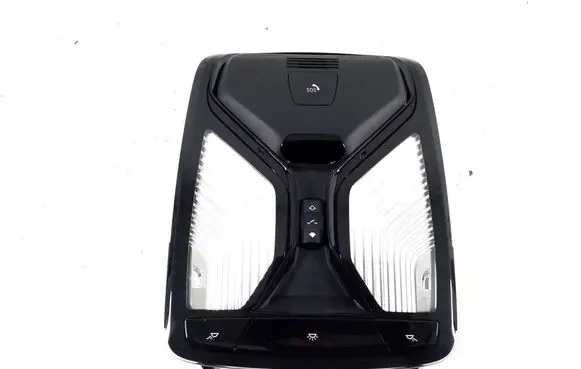 BMW iX3 G08 Front seat light 5A5A506
