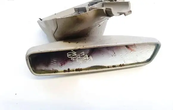 Renault Scenic II - Grand scenic II Rear view mirror (interior) e20205028