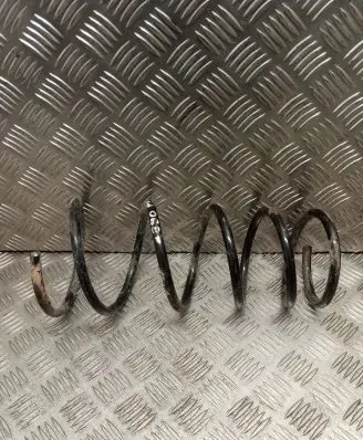 Front coil spring
