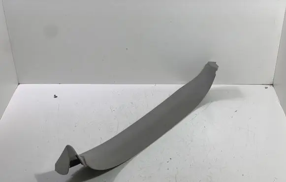 Renault Koleos I Loading door glass trim molding 90902JY00A
