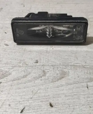 Peugeot 2008 II Number plate light