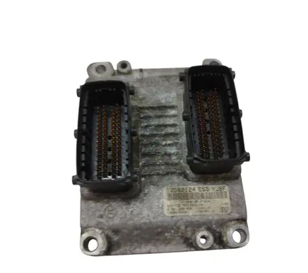 Cadillac CTS Other control units/modules 12592124 0261209059 1039S10782