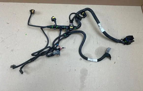 Ligier JS 50 Engine installation wiring loom ED0021863310