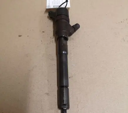 Hyundai Santa Fe Fuel injector 0445110254