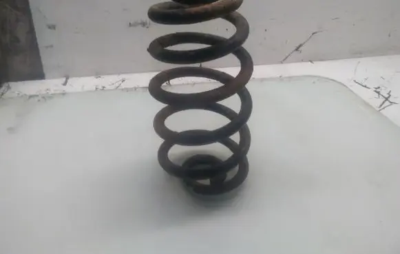 Audi A4 S4 B6 8E 8H Rear coil spring