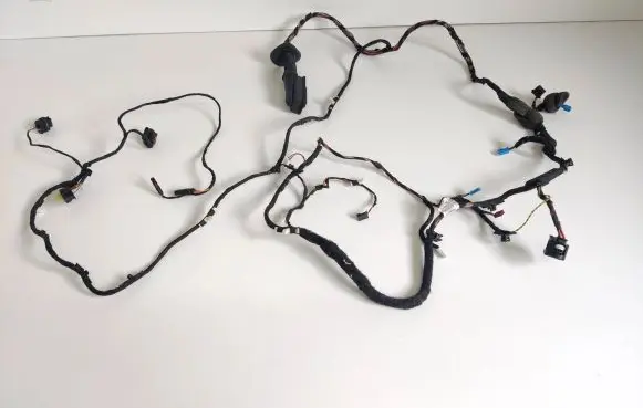 Front door wiring loom
